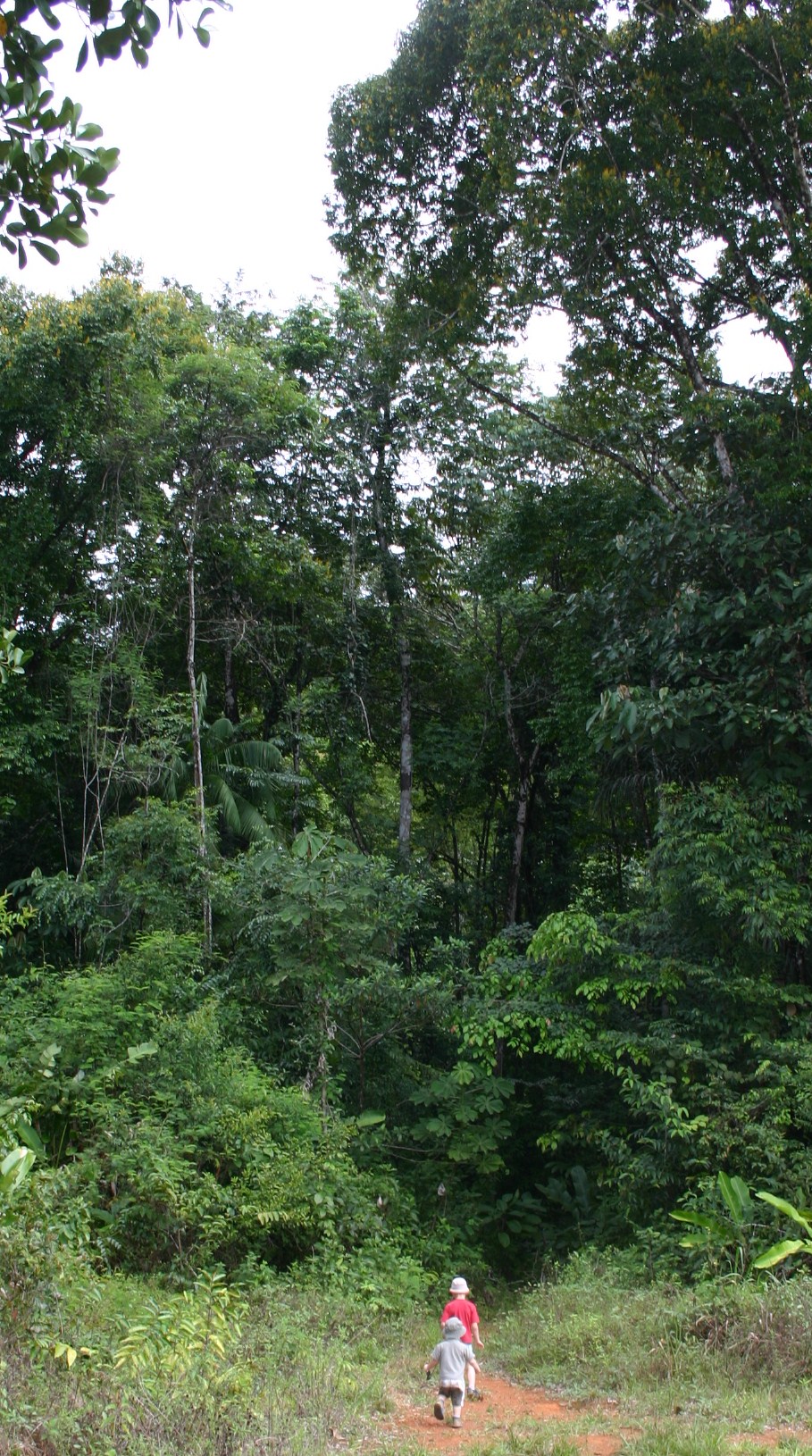 Tu Sais Que Tu Es De Coye La Foret